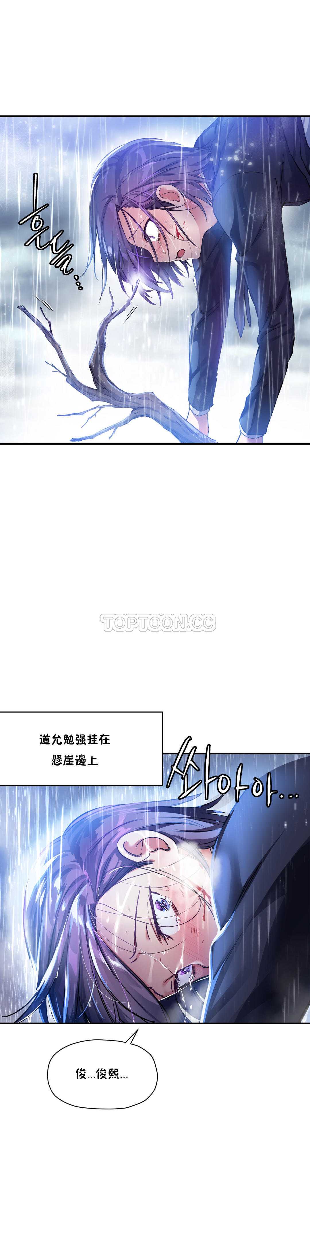 初恋豚鼠