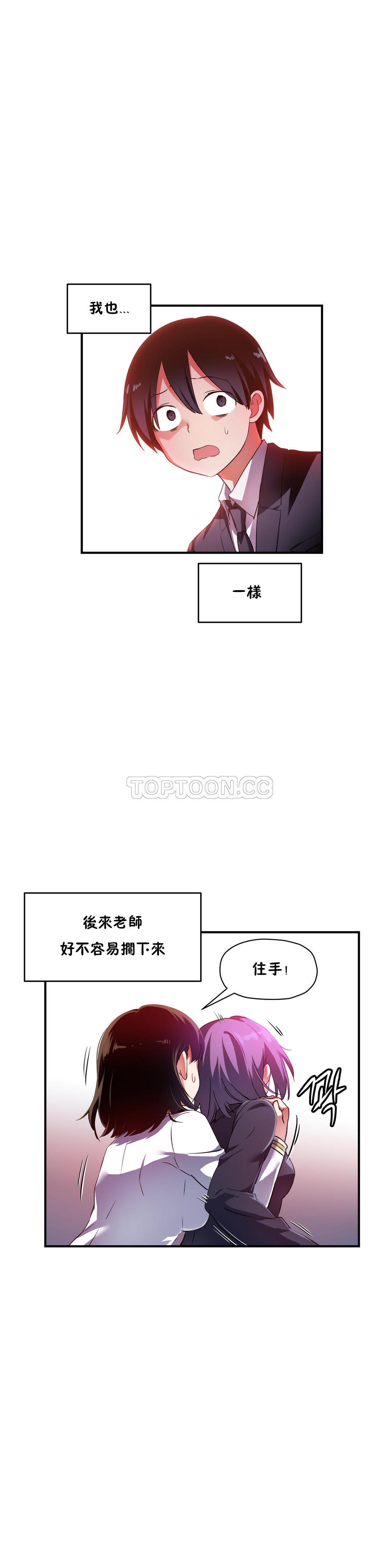 初恋豚鼠