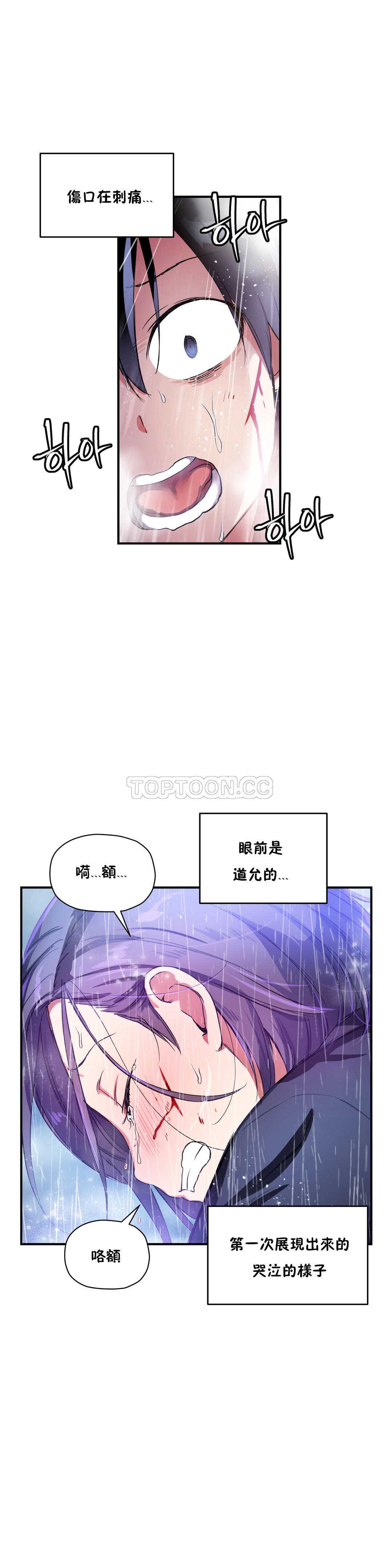 初恋豚鼠