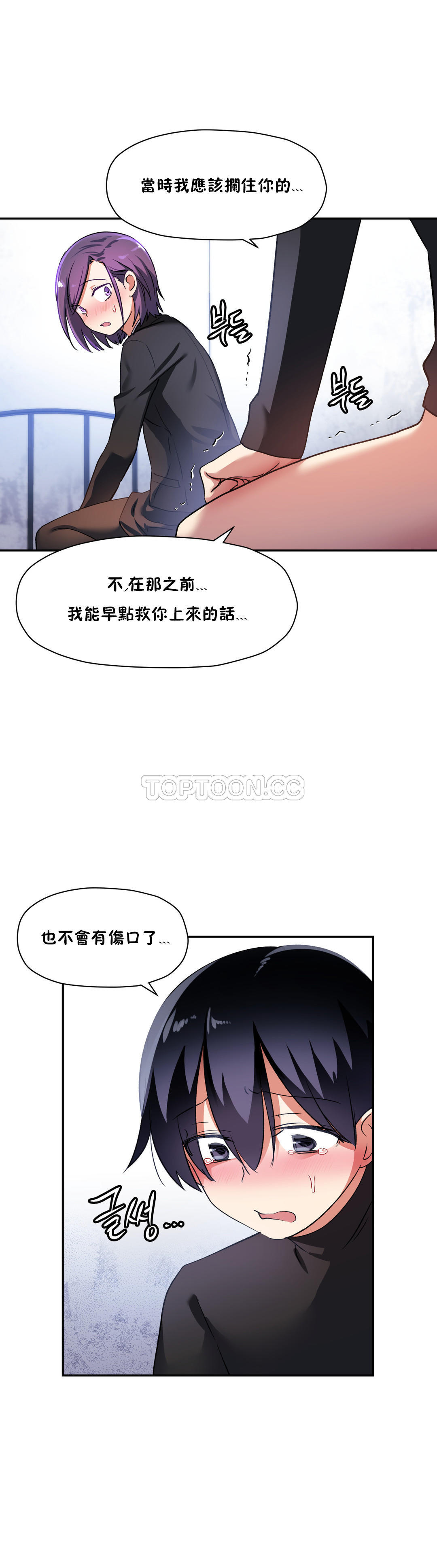 初恋豚鼠