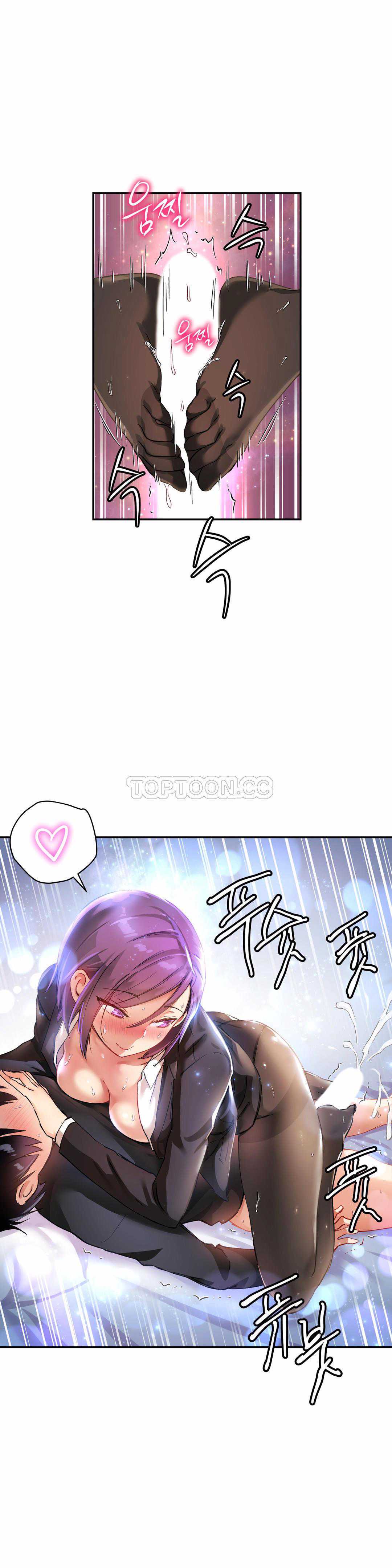 初恋豚鼠