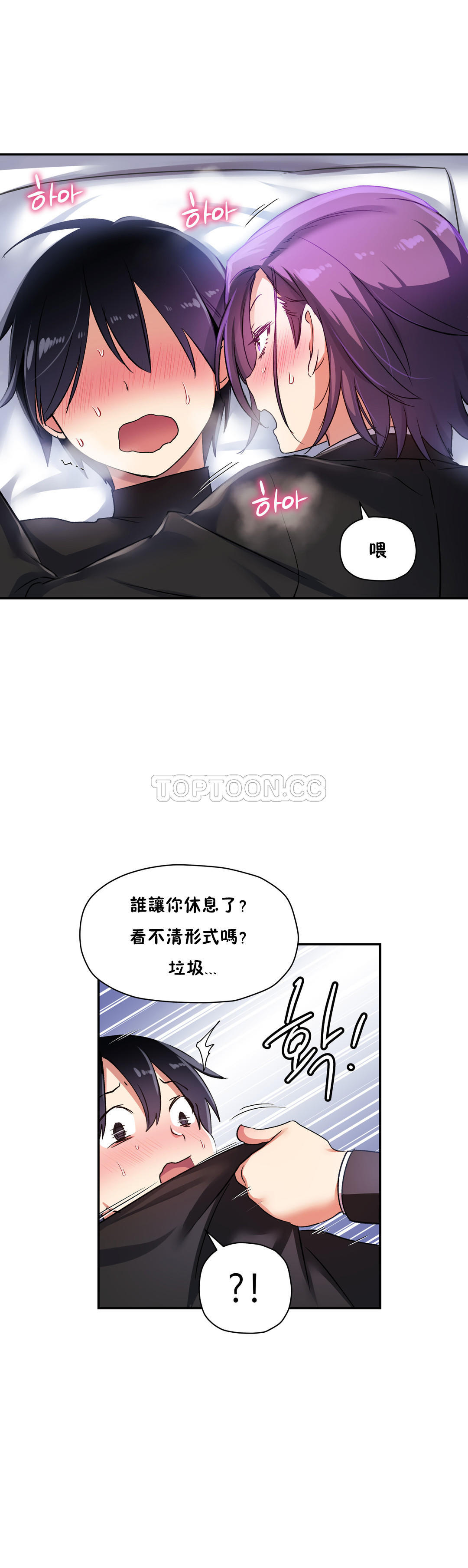初恋豚鼠