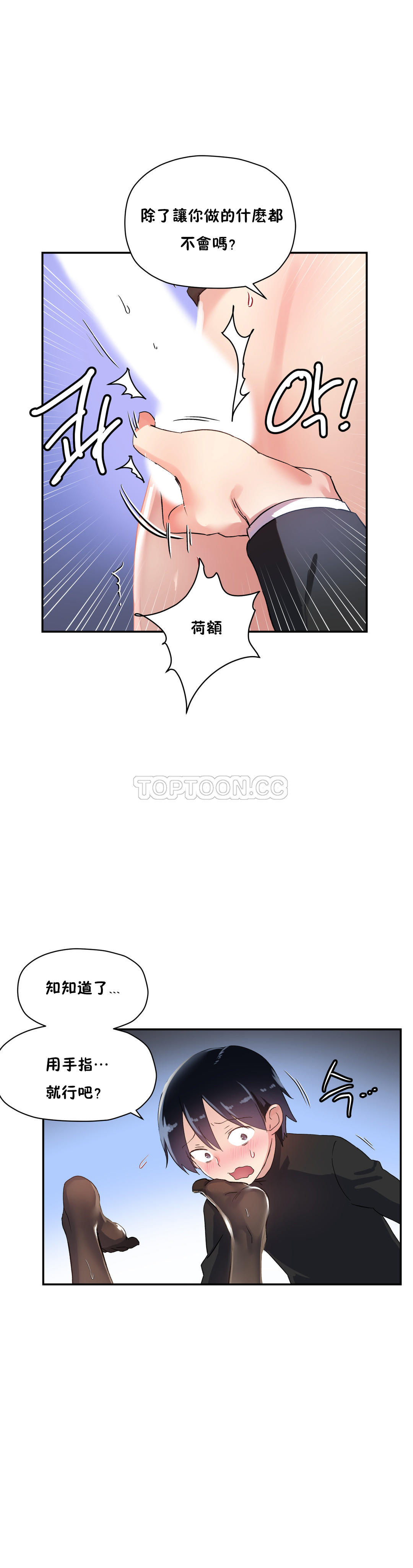 初恋豚鼠