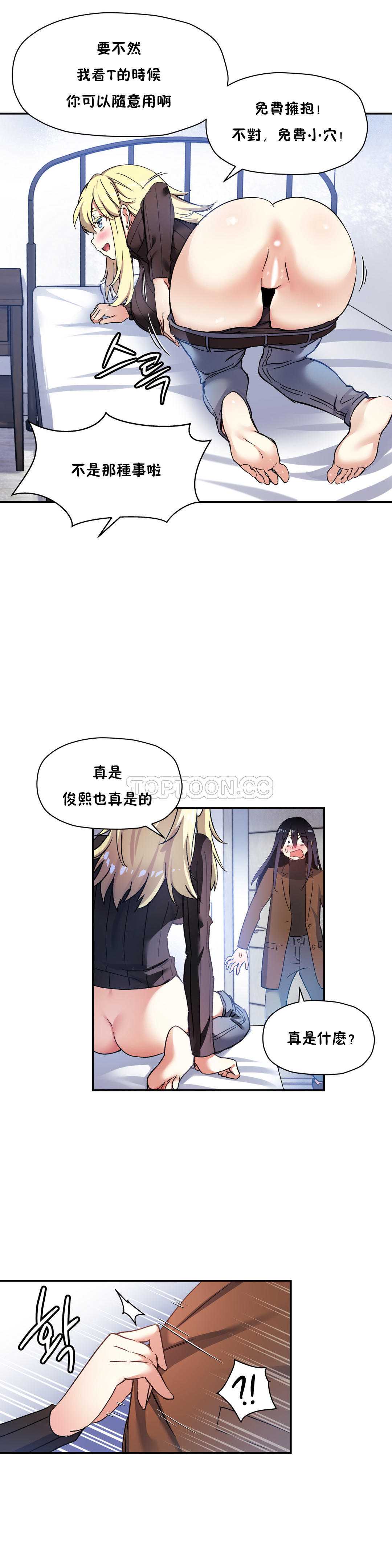 初恋豚鼠