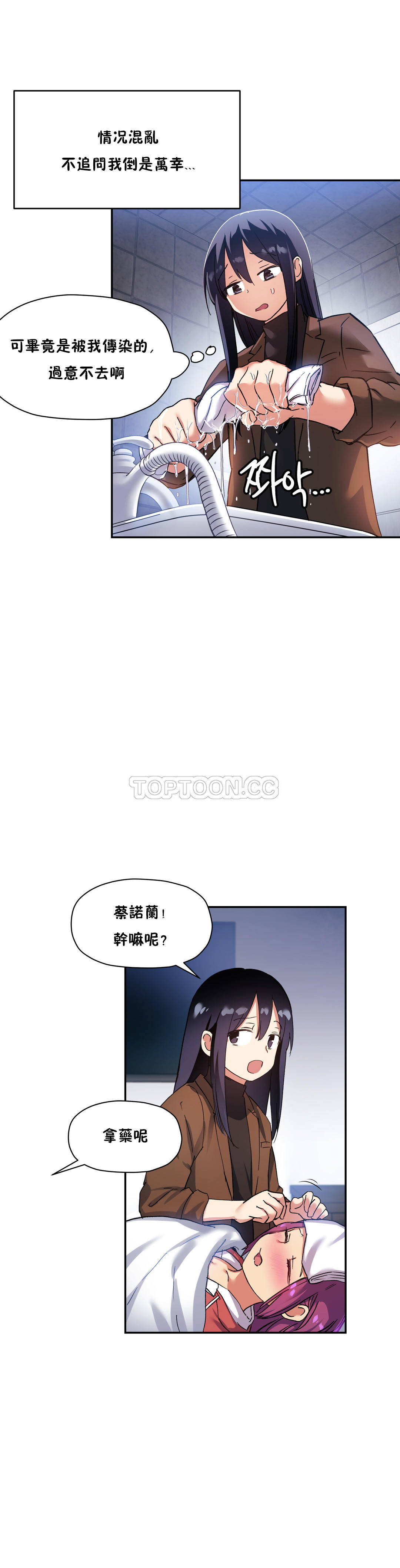 初恋豚鼠