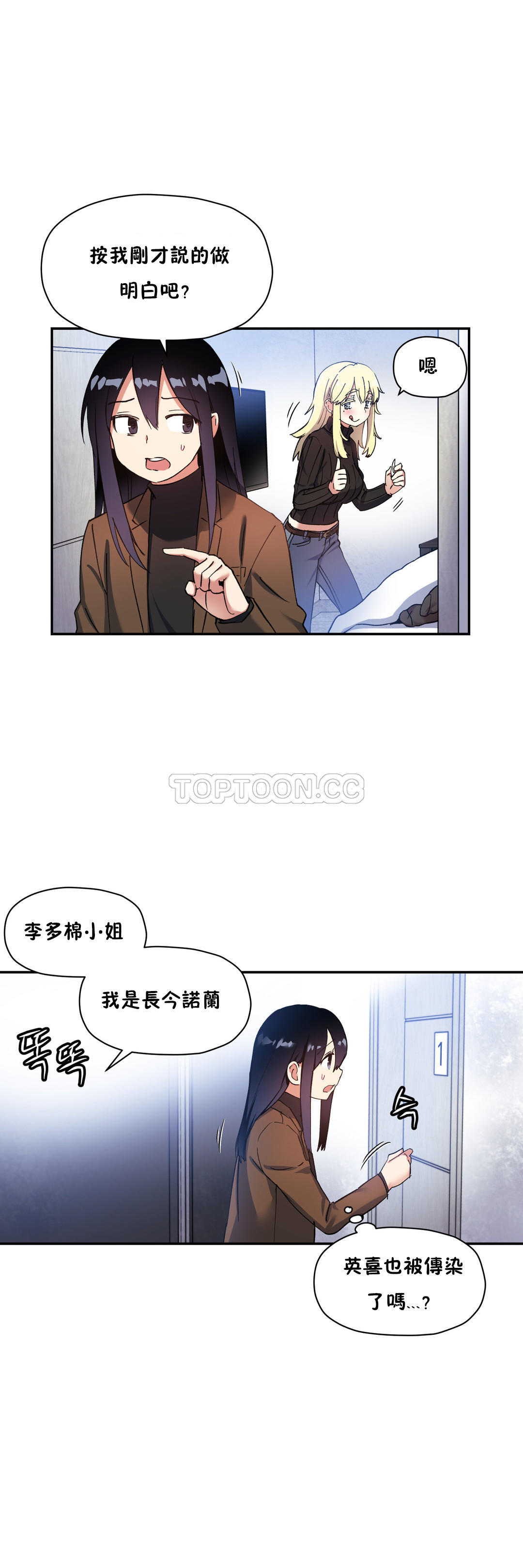 初恋豚鼠