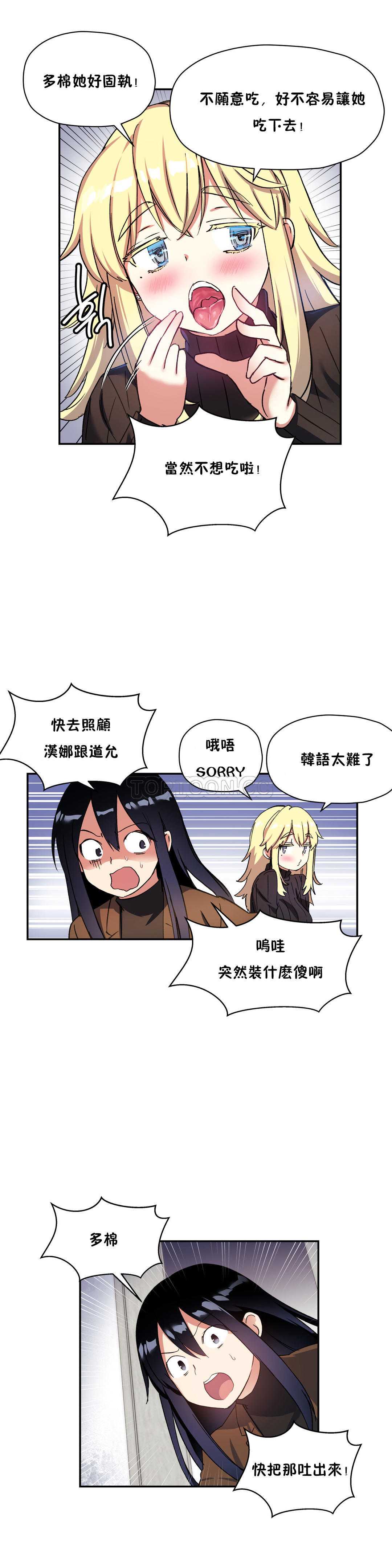 初恋豚鼠