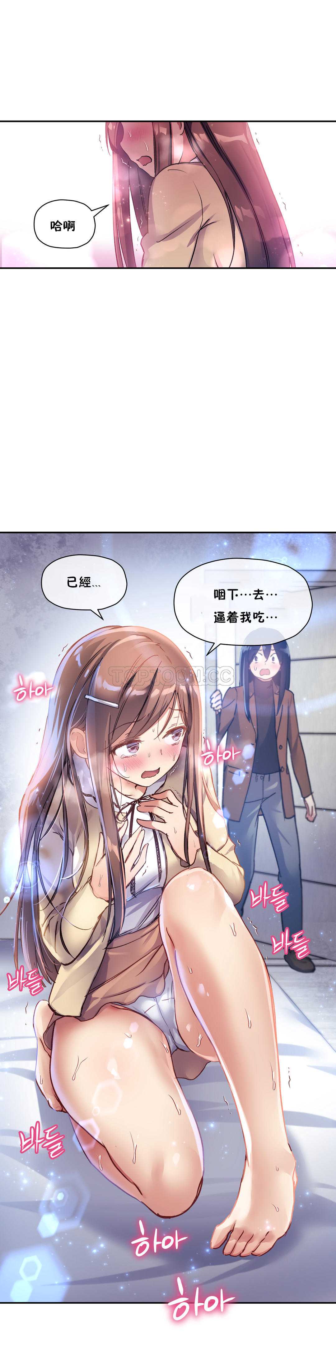 初恋豚鼠