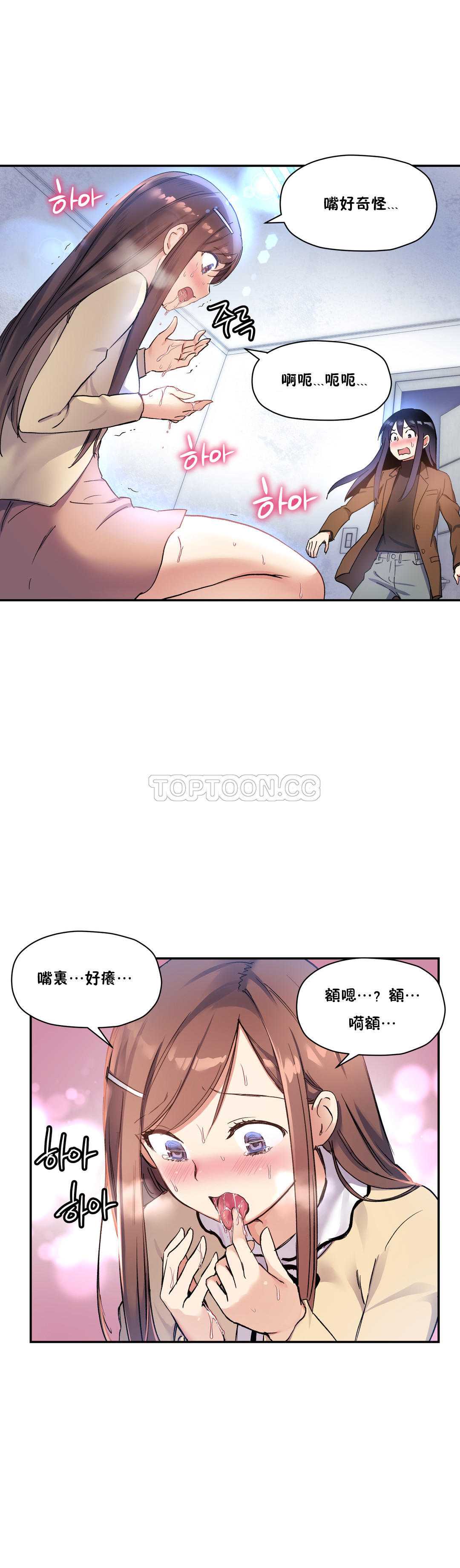 初恋豚鼠