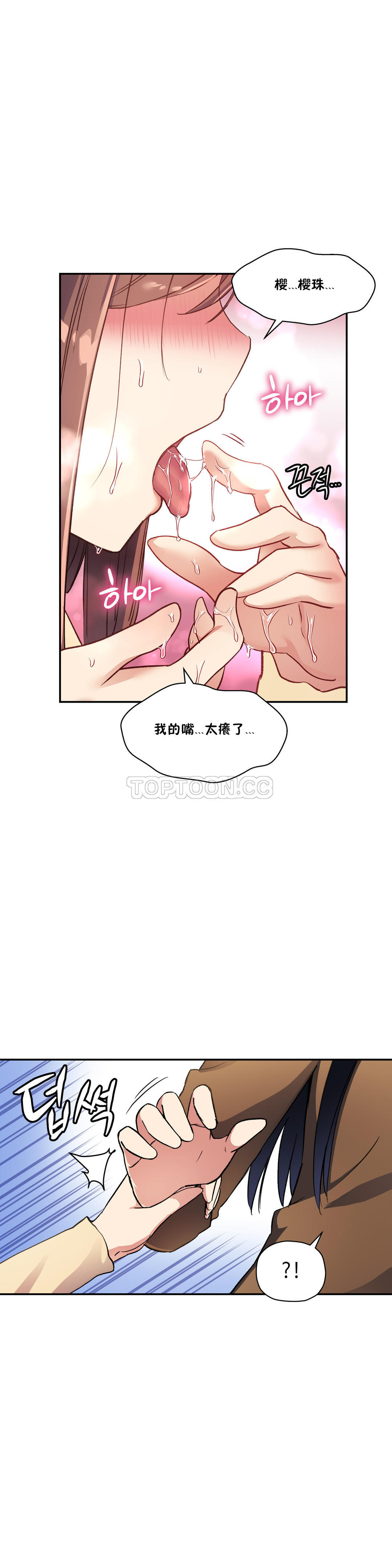 初恋豚鼠