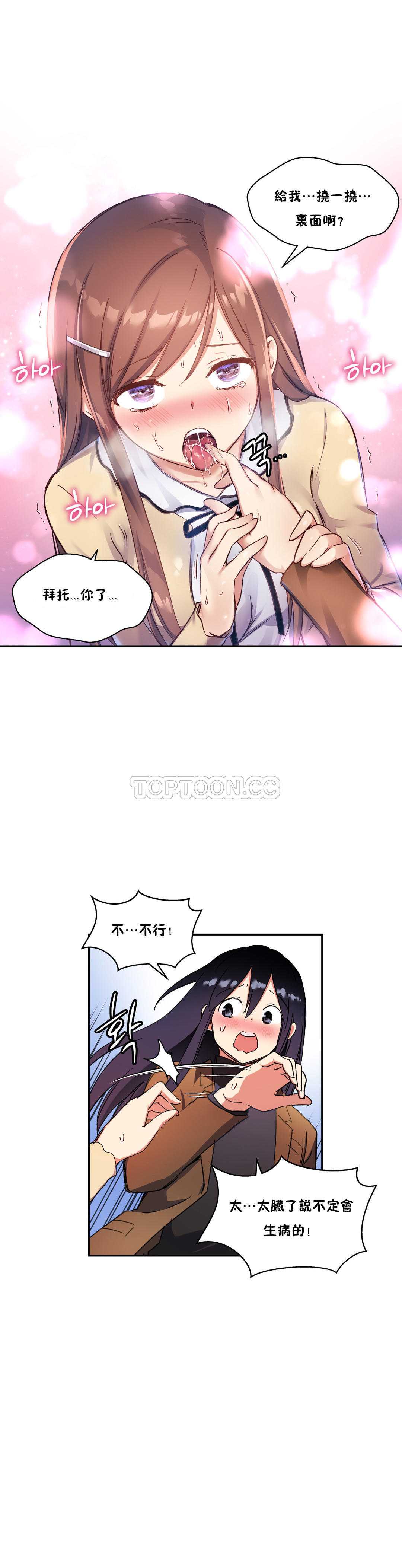 初恋豚鼠