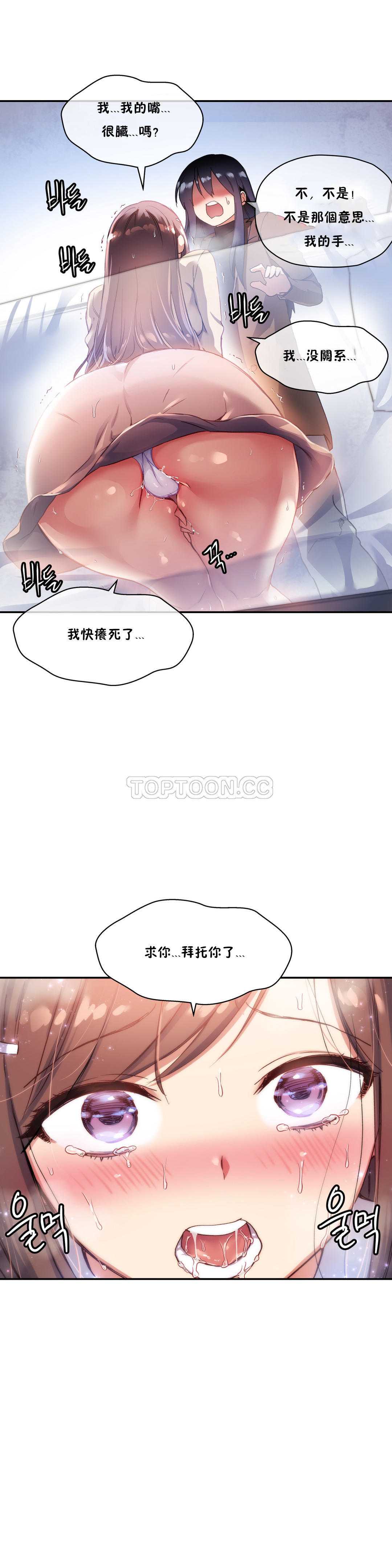 初恋豚鼠