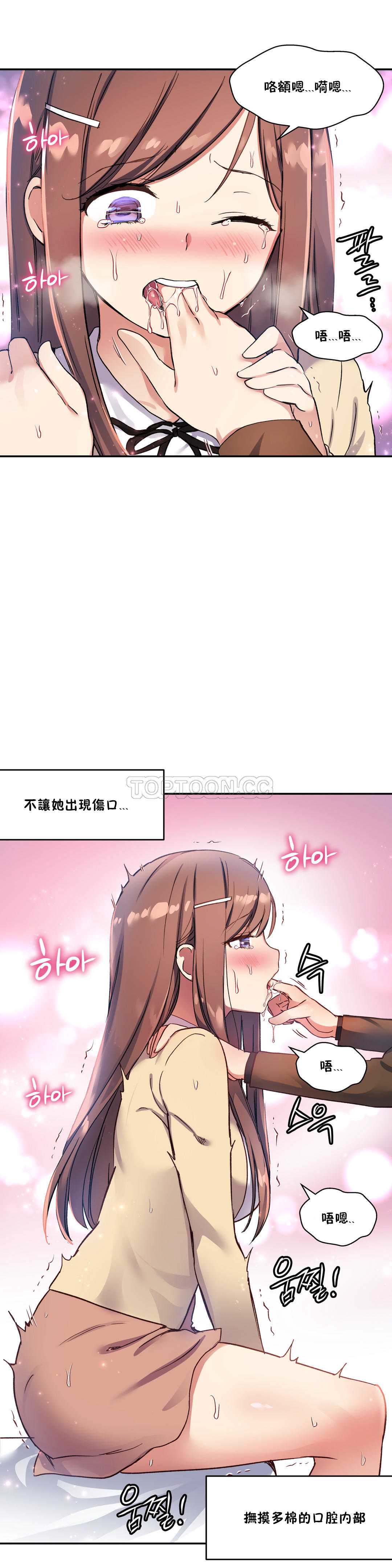 初恋豚鼠
