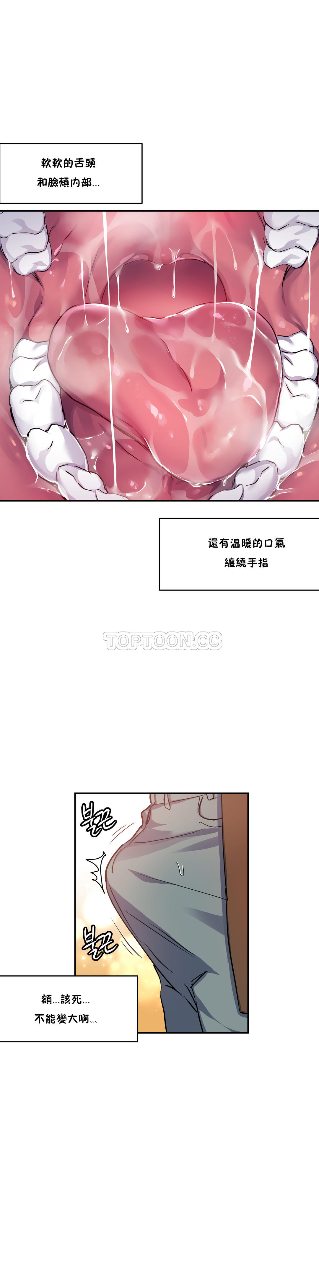 初恋豚鼠