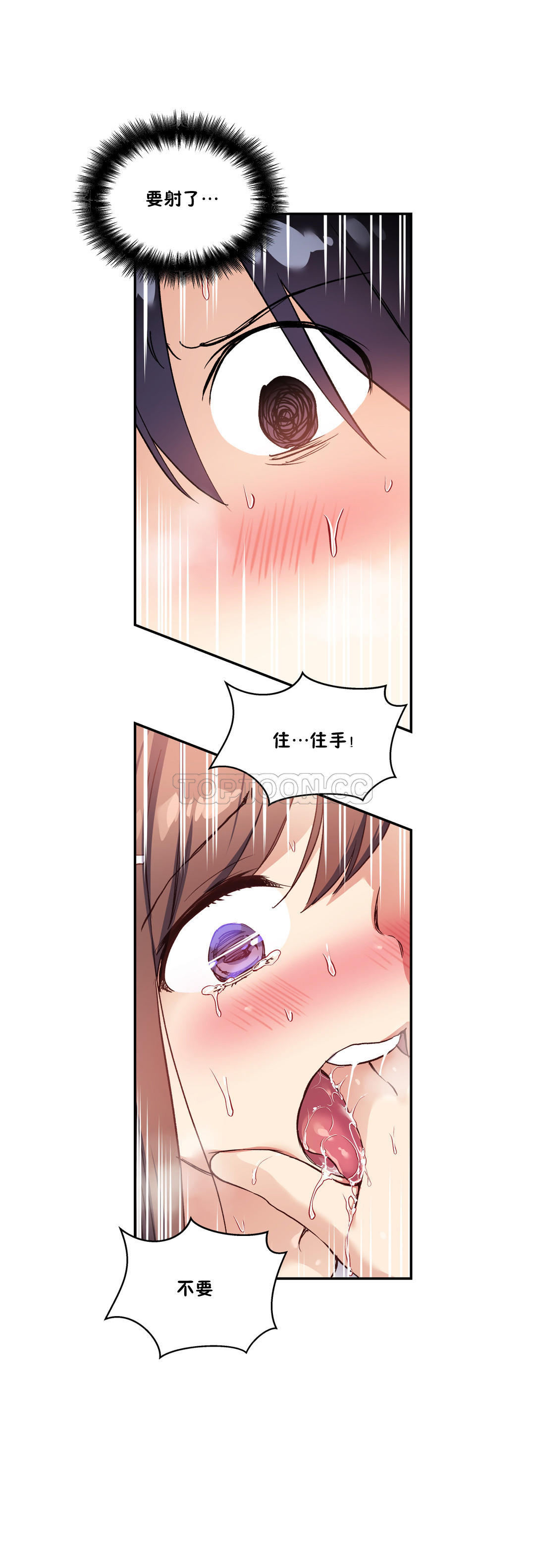 初恋豚鼠