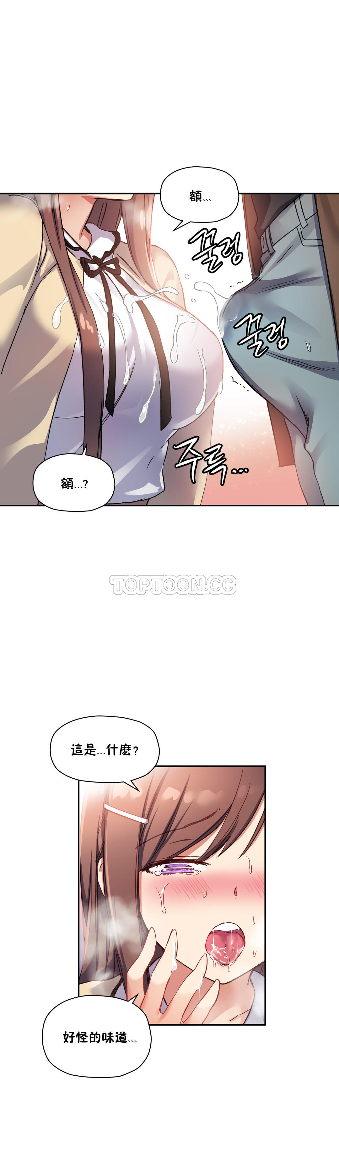 初恋豚鼠