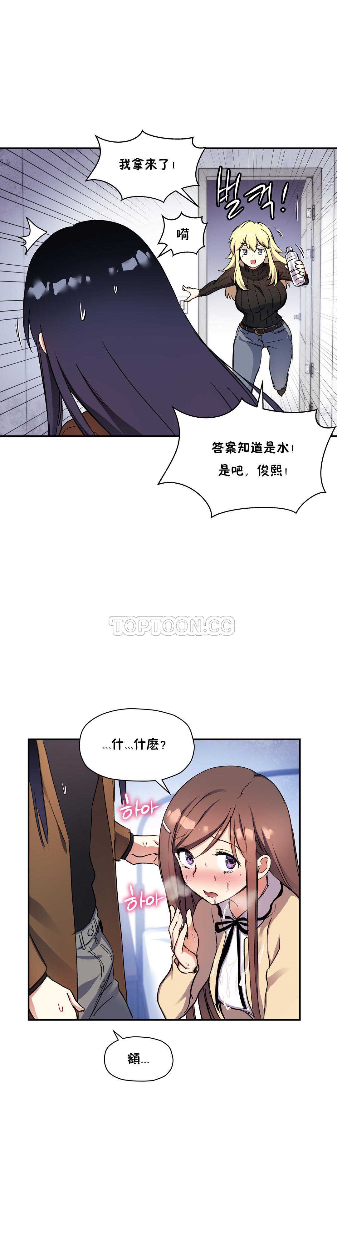 初恋豚鼠