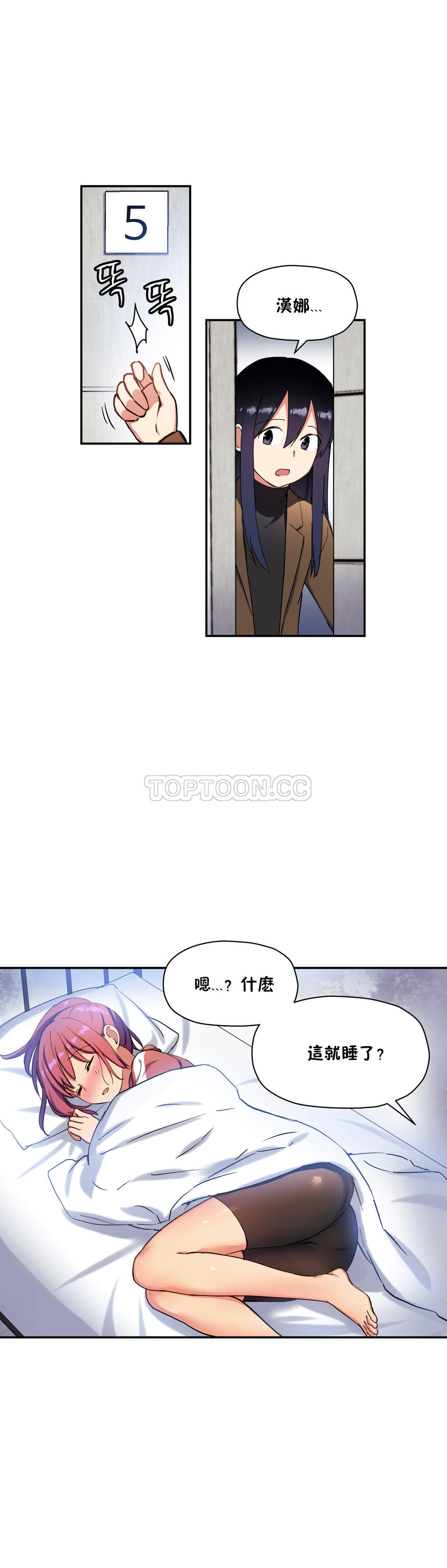 初恋豚鼠