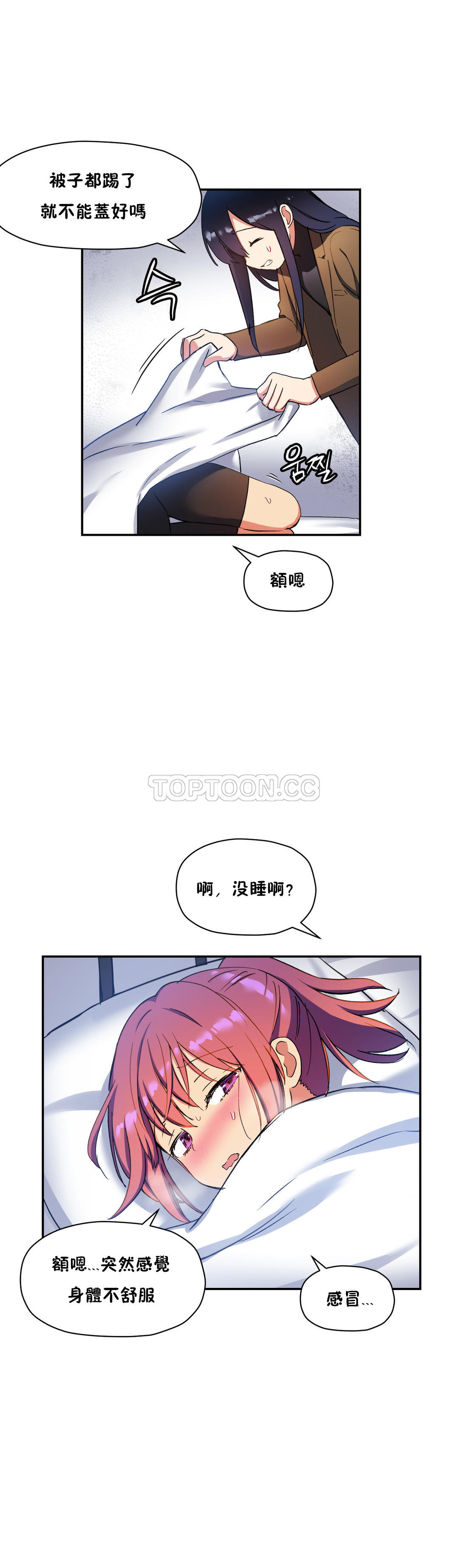 初恋豚鼠