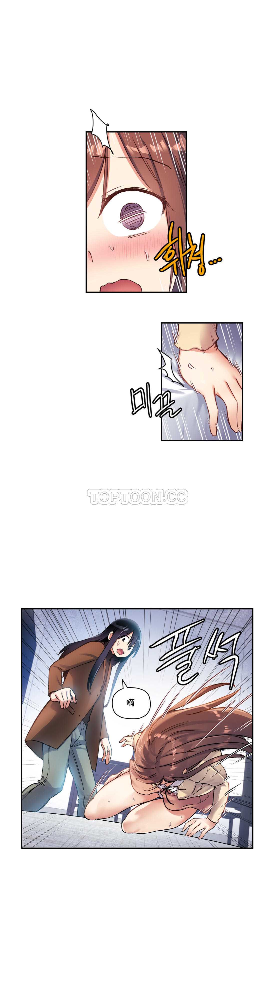 初恋豚鼠