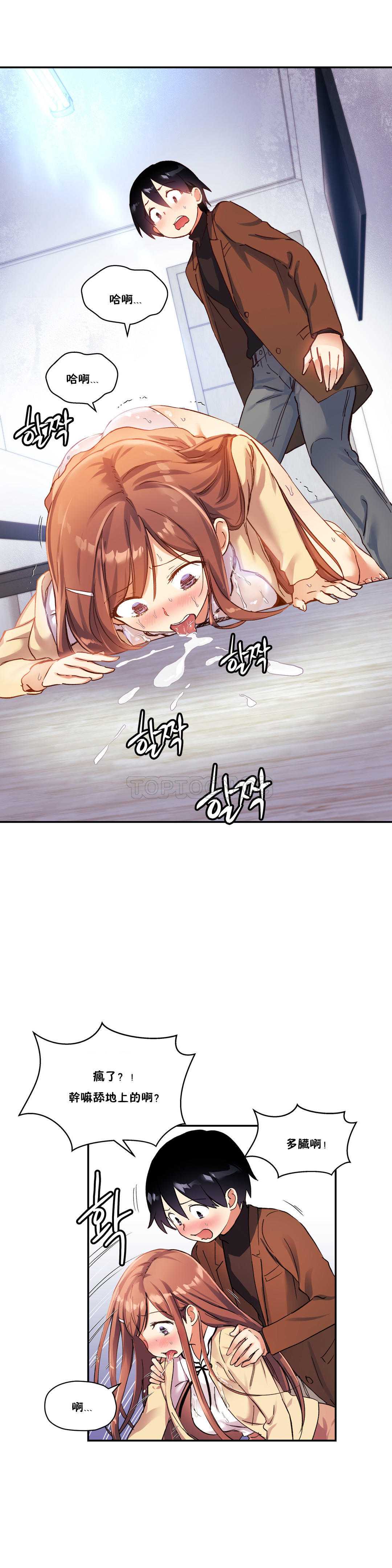 初恋豚鼠