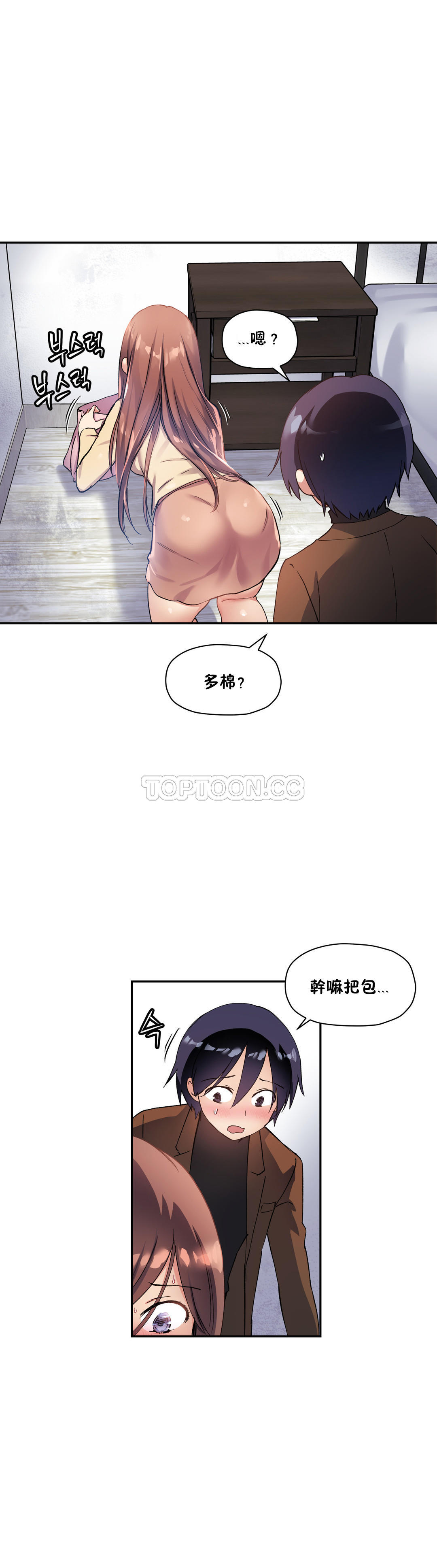 初恋豚鼠