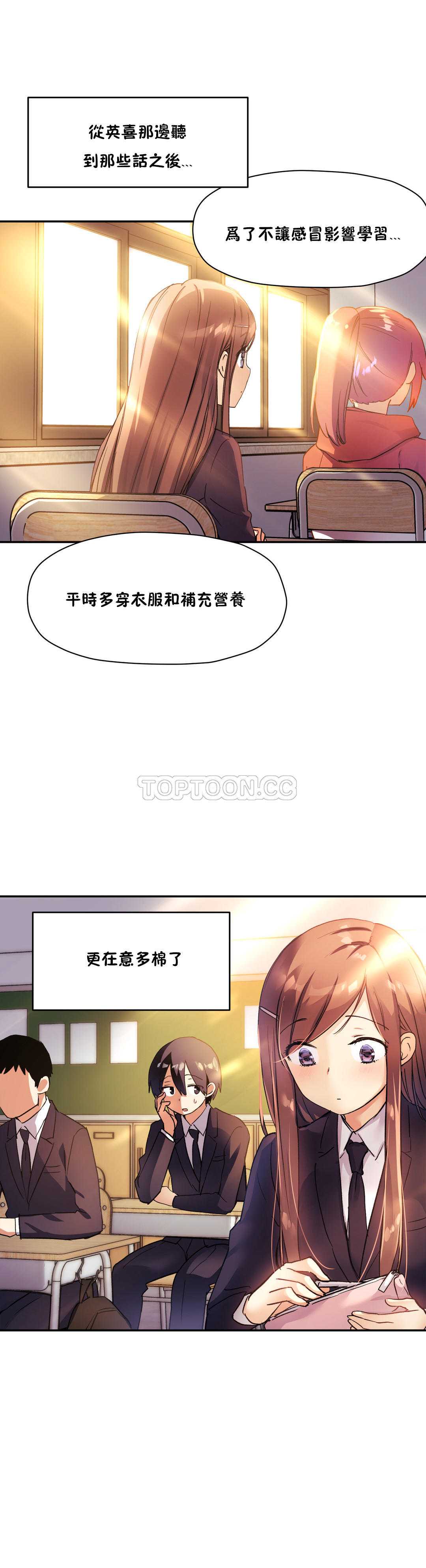 初恋豚鼠