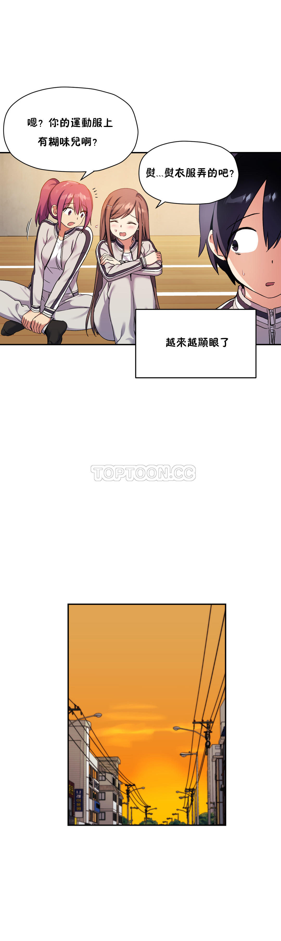 初恋豚鼠