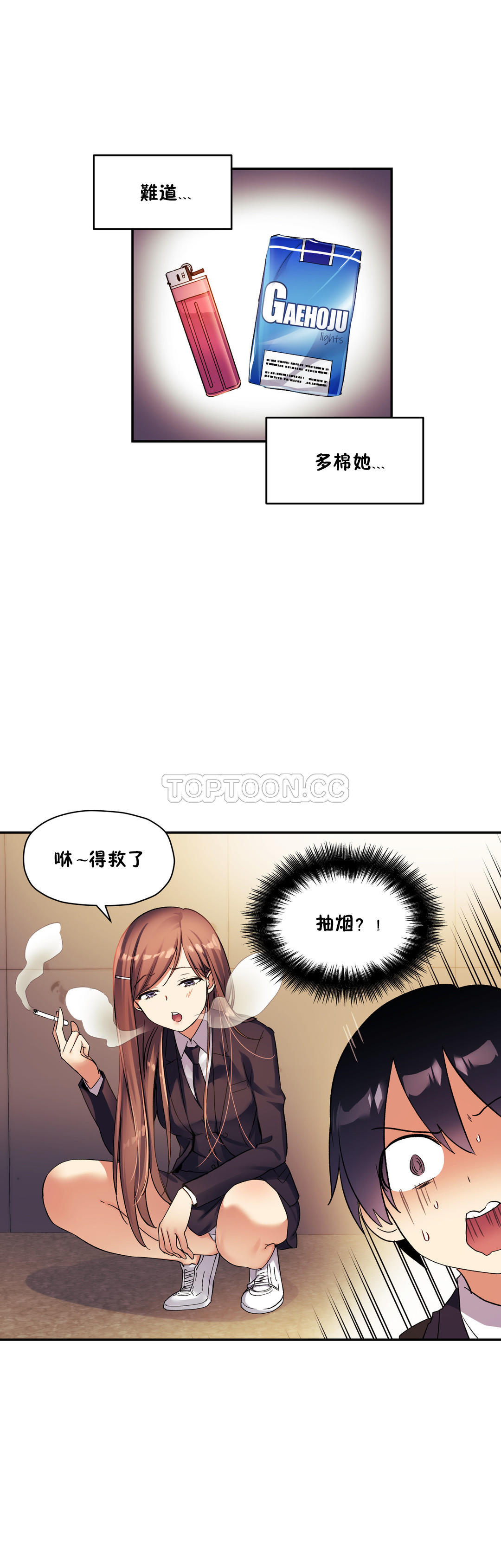 初恋豚鼠