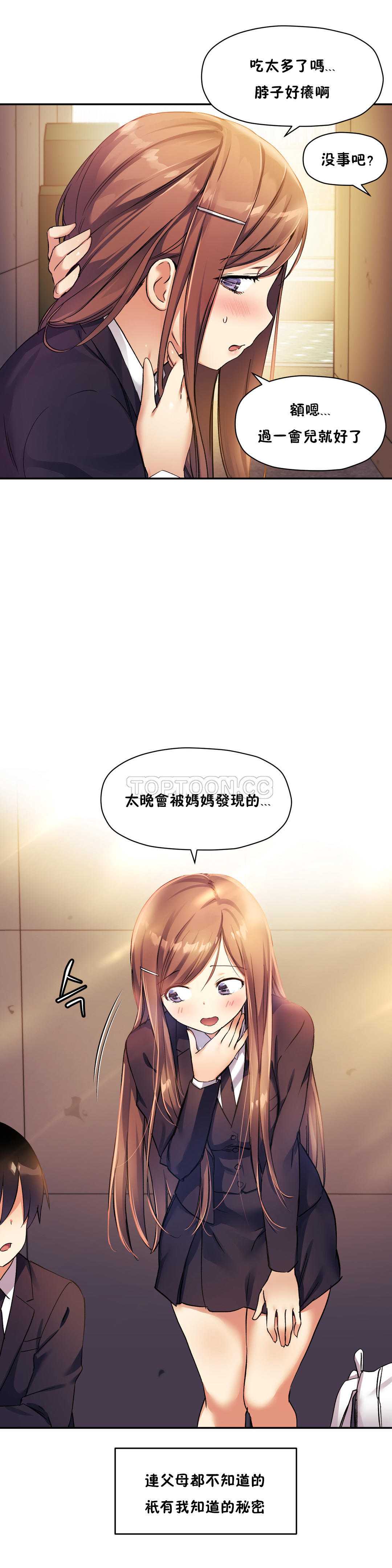 初恋豚鼠