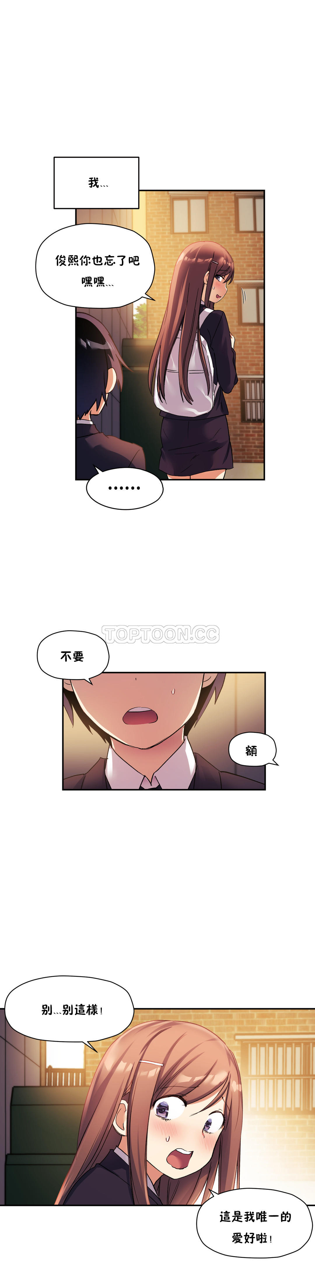 初恋豚鼠