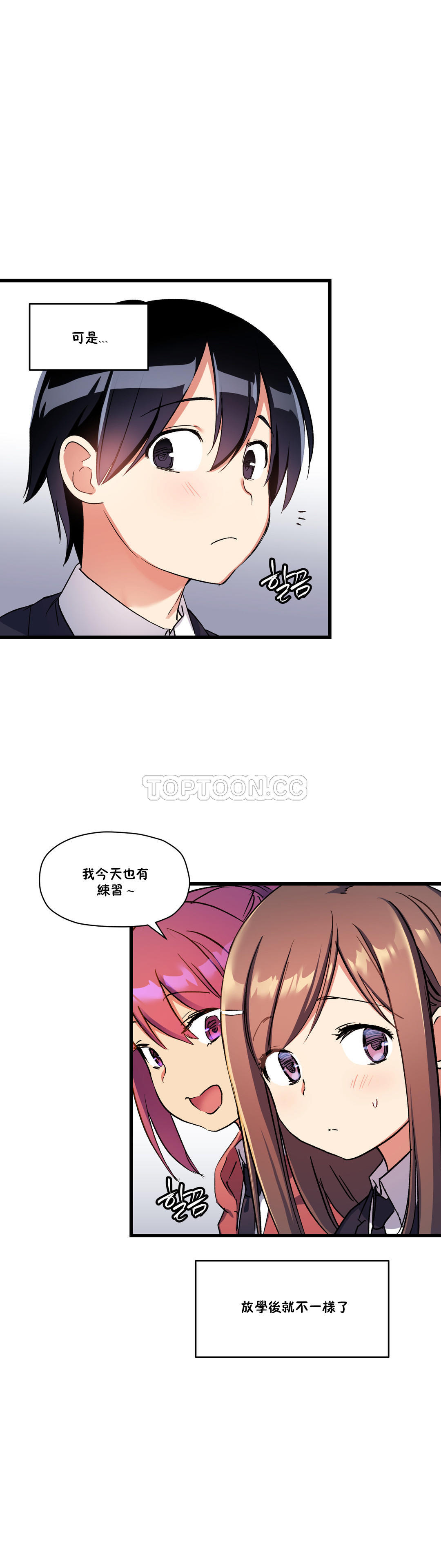初恋豚鼠