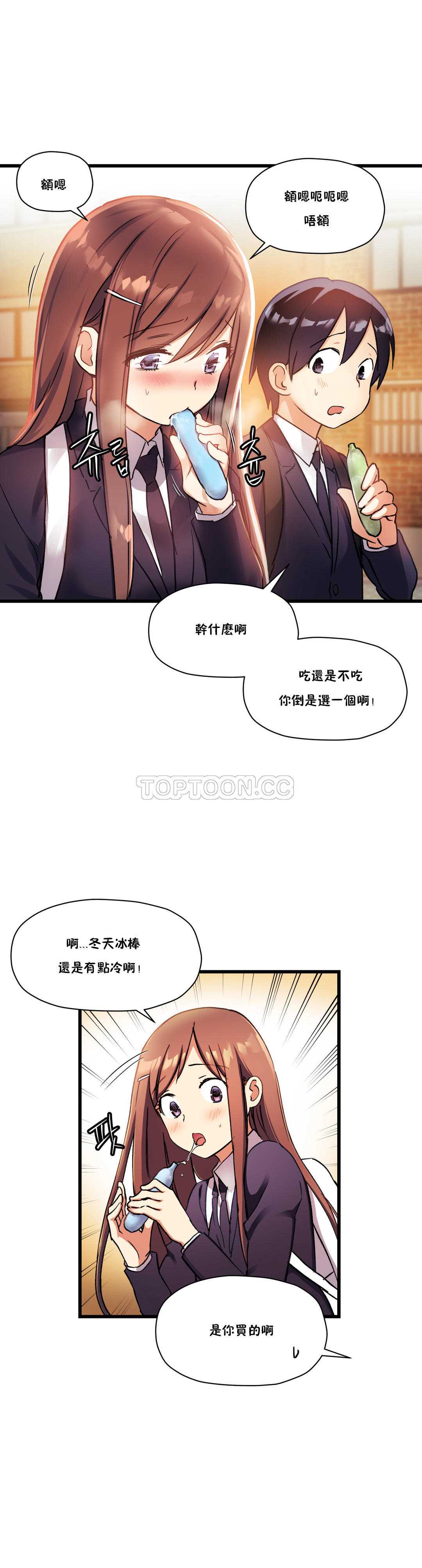 初恋豚鼠