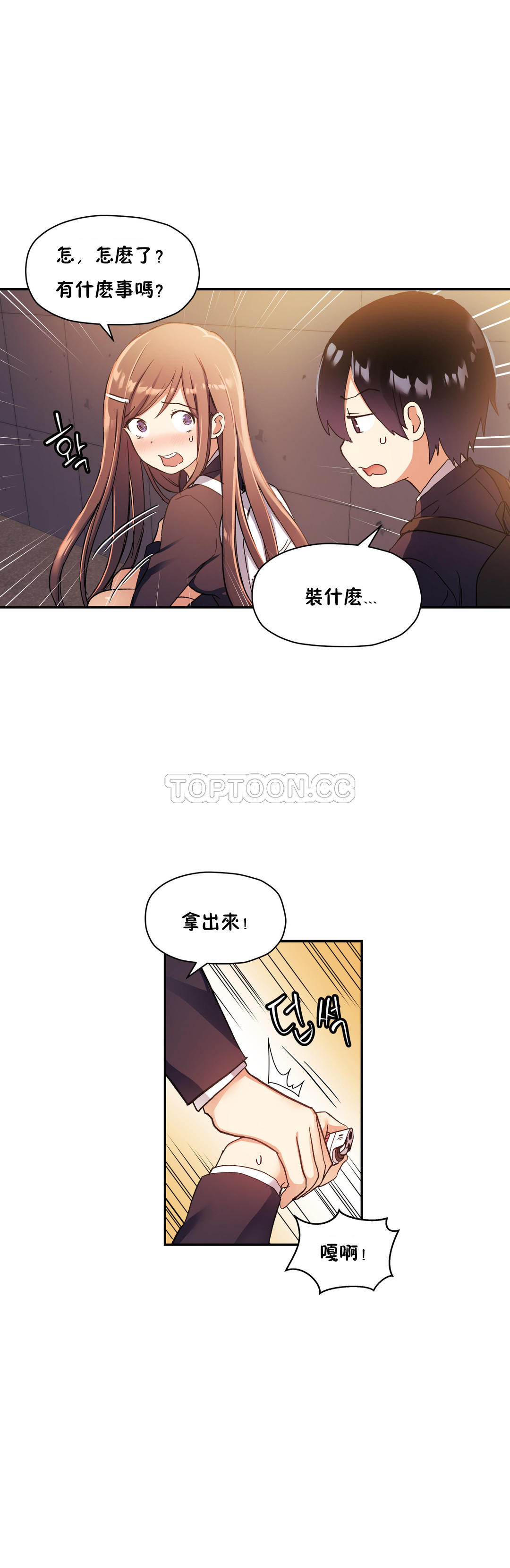 初恋豚鼠