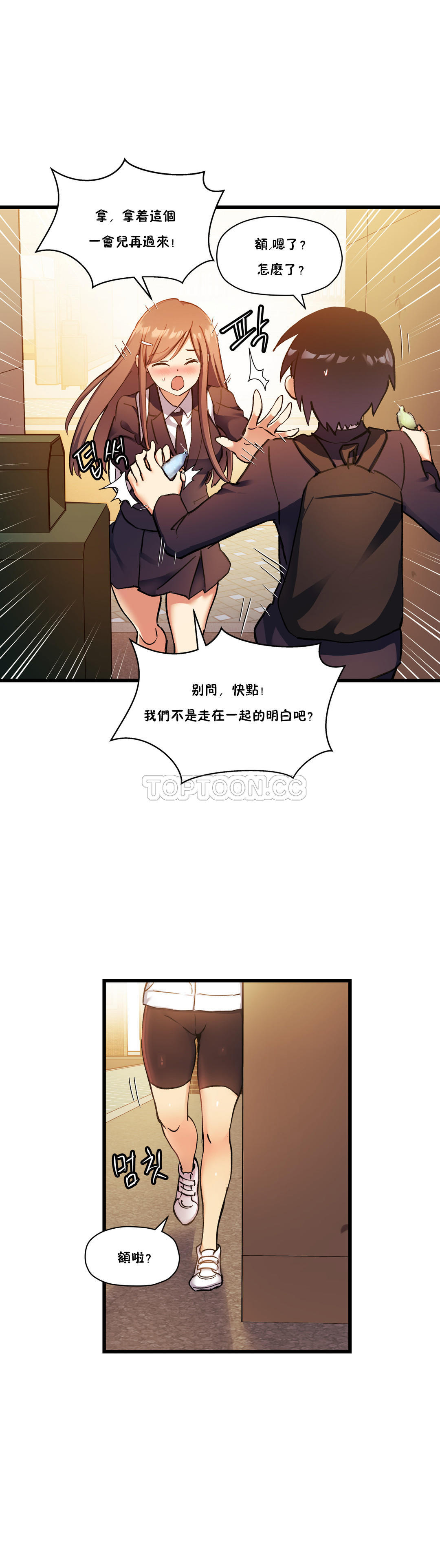 初恋豚鼠