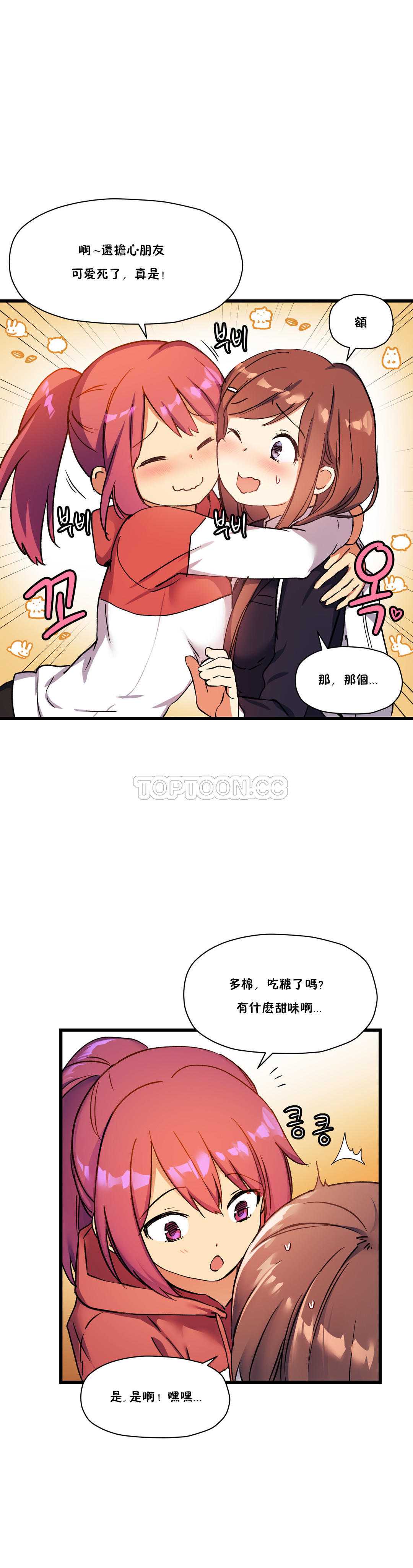 初恋豚鼠