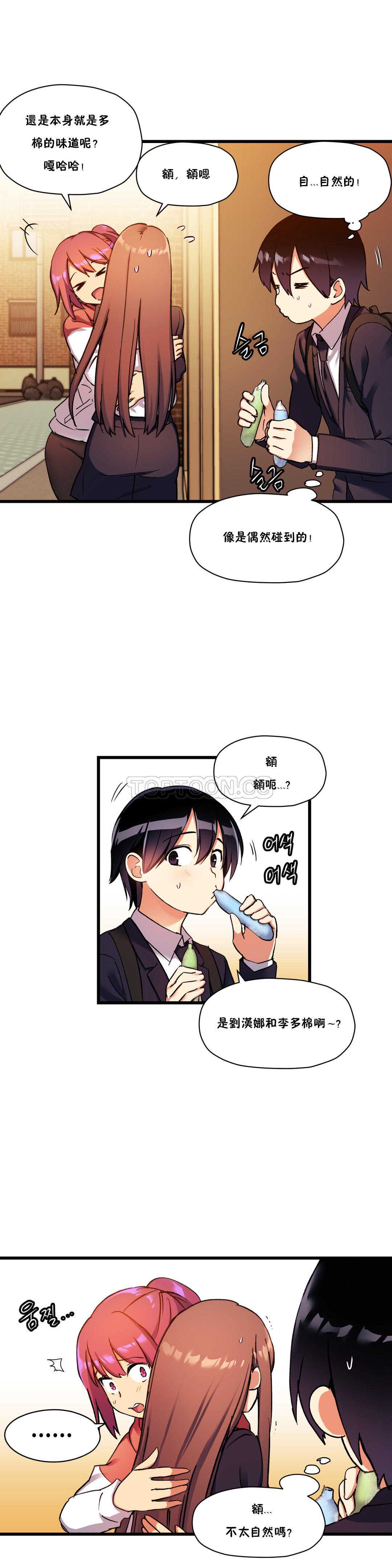 初恋豚鼠