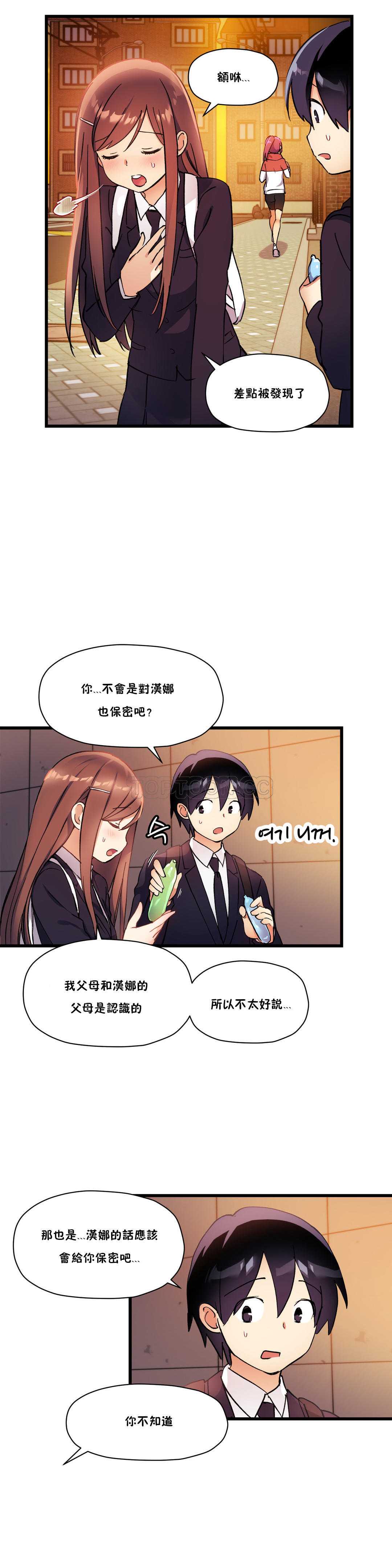 初恋豚鼠
