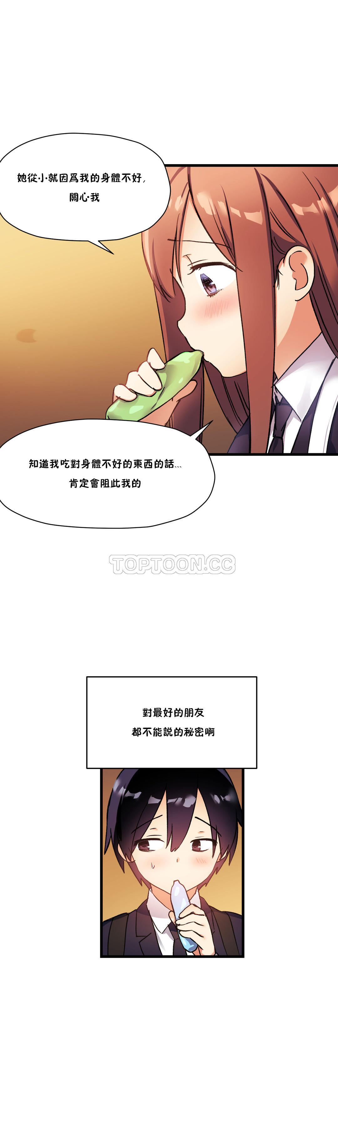 初恋豚鼠