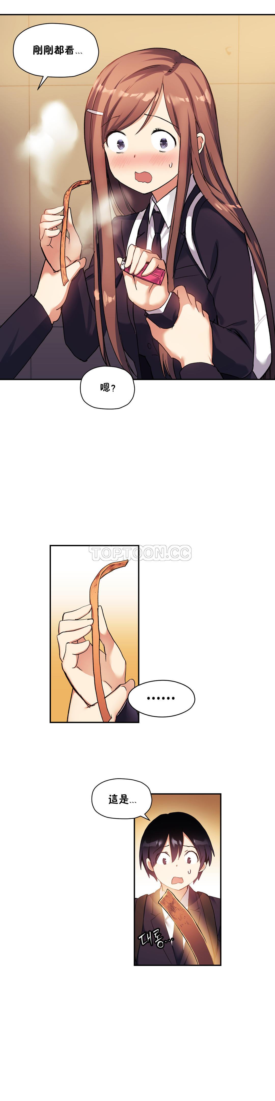 初恋豚鼠