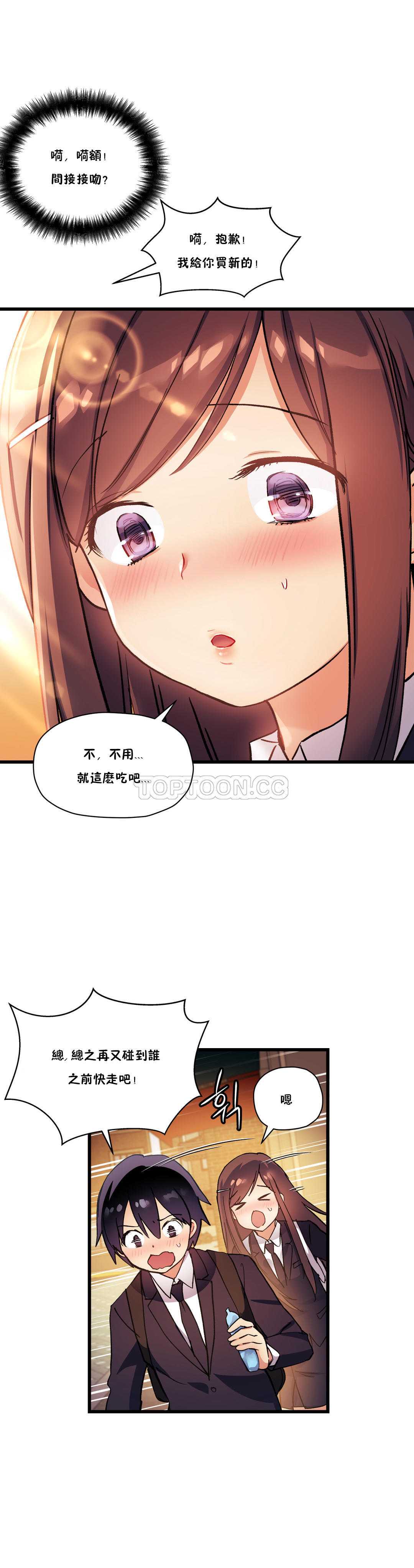 初恋豚鼠