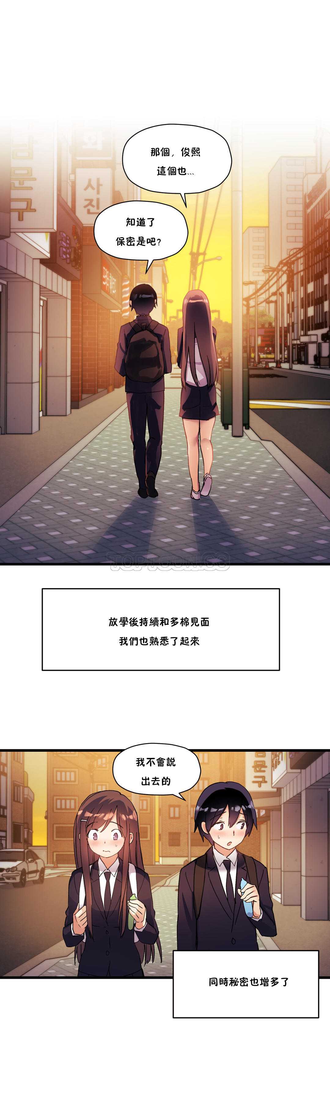 初恋豚鼠