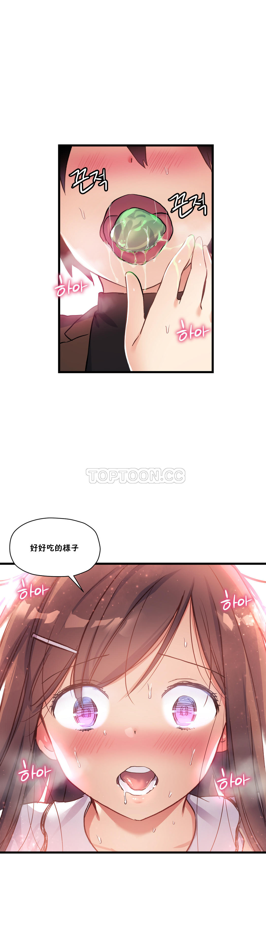 初恋豚鼠