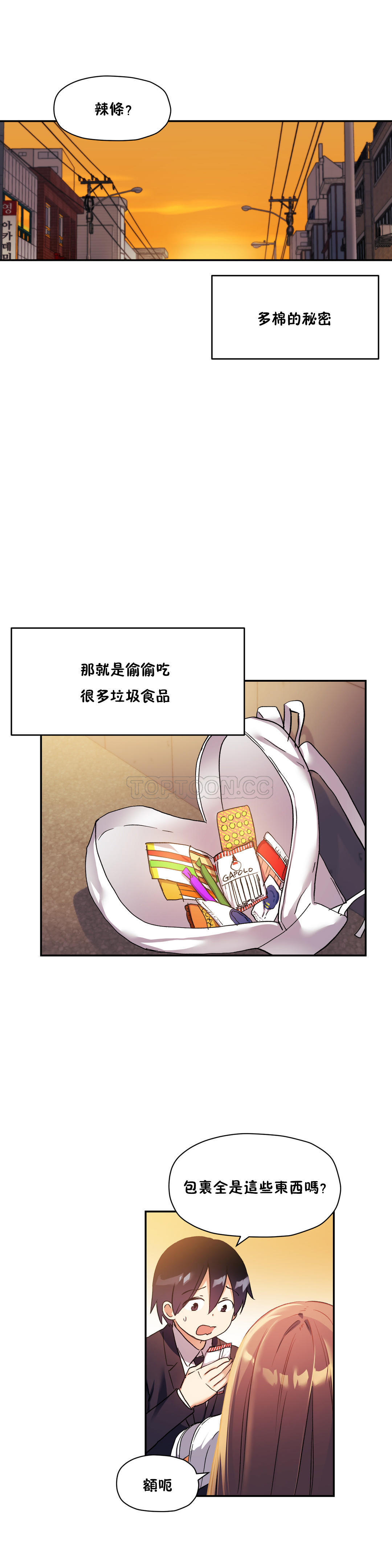 初恋豚鼠