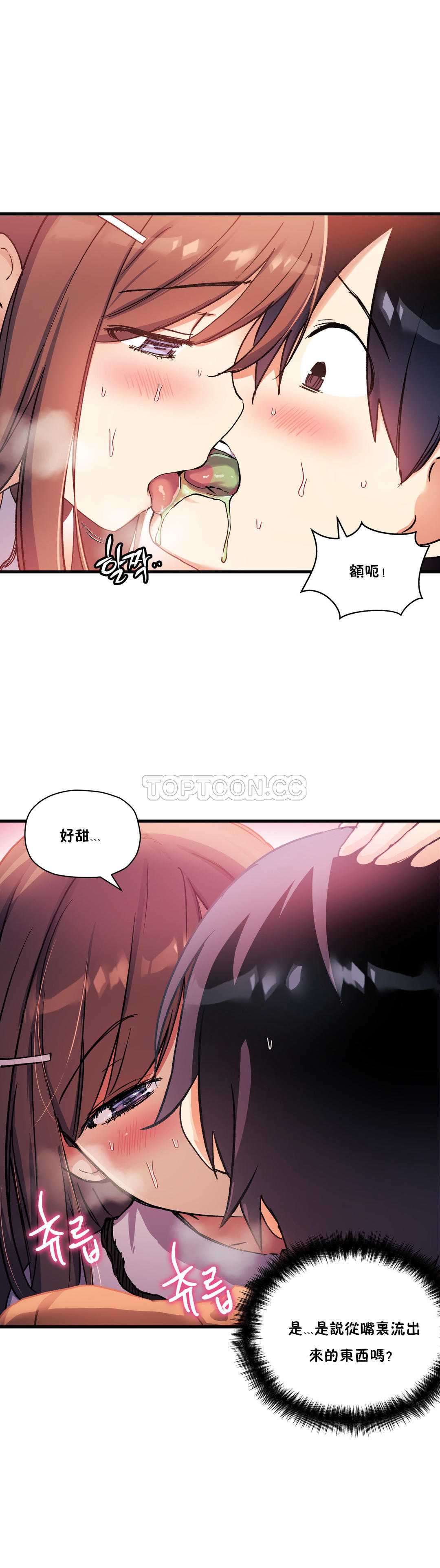 初恋豚鼠