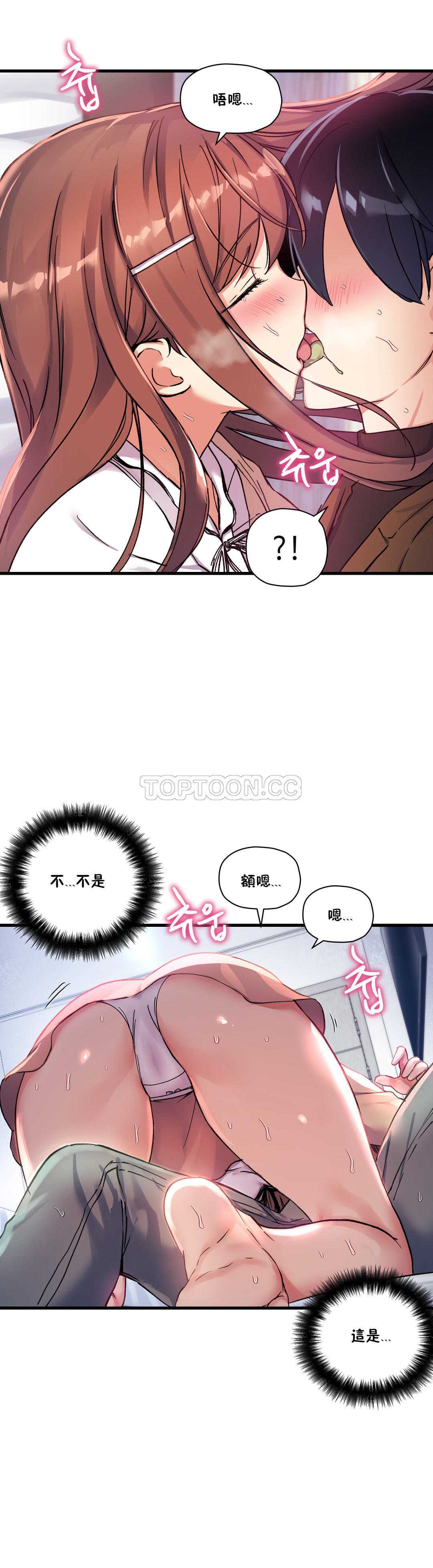 初恋豚鼠