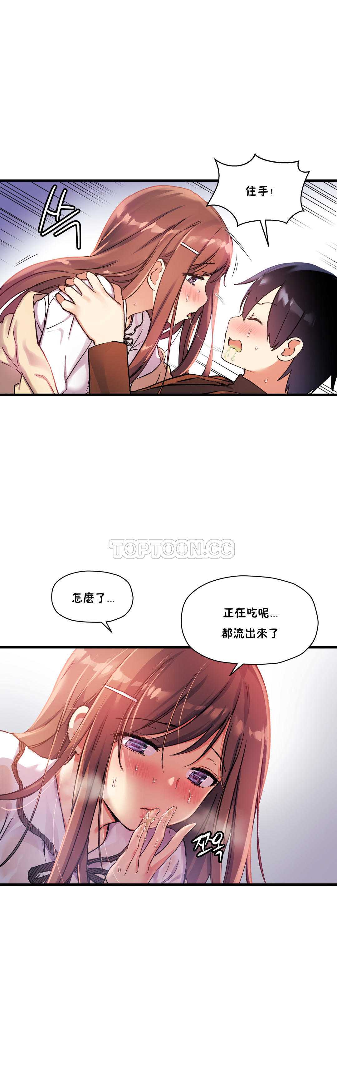 初恋豚鼠