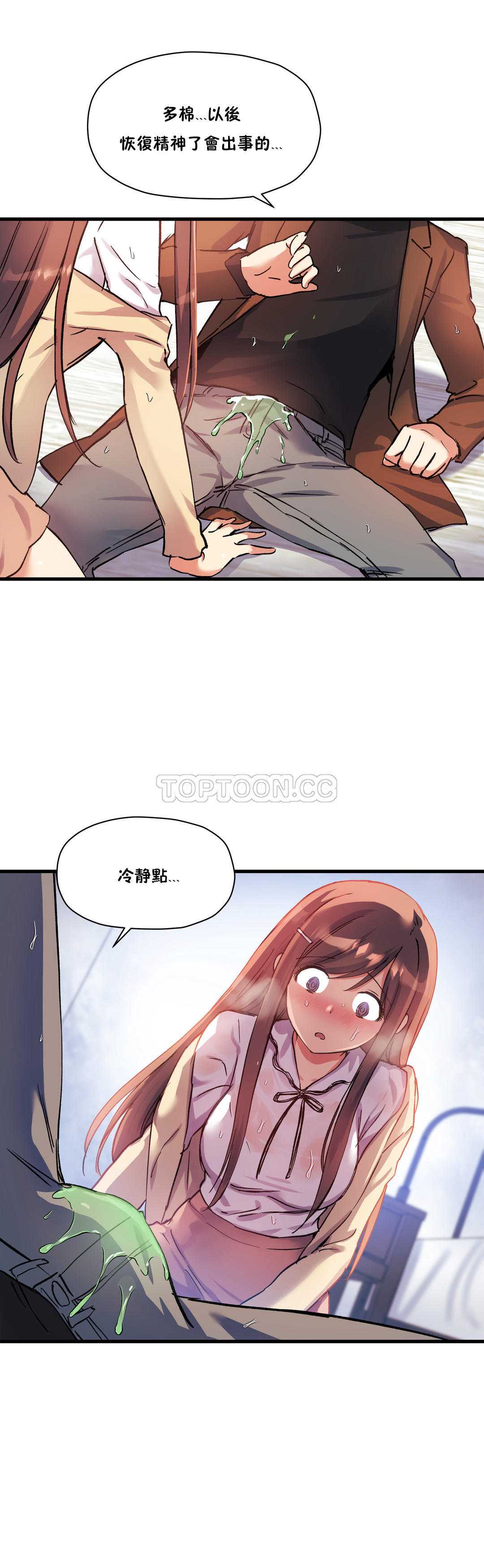初恋豚鼠