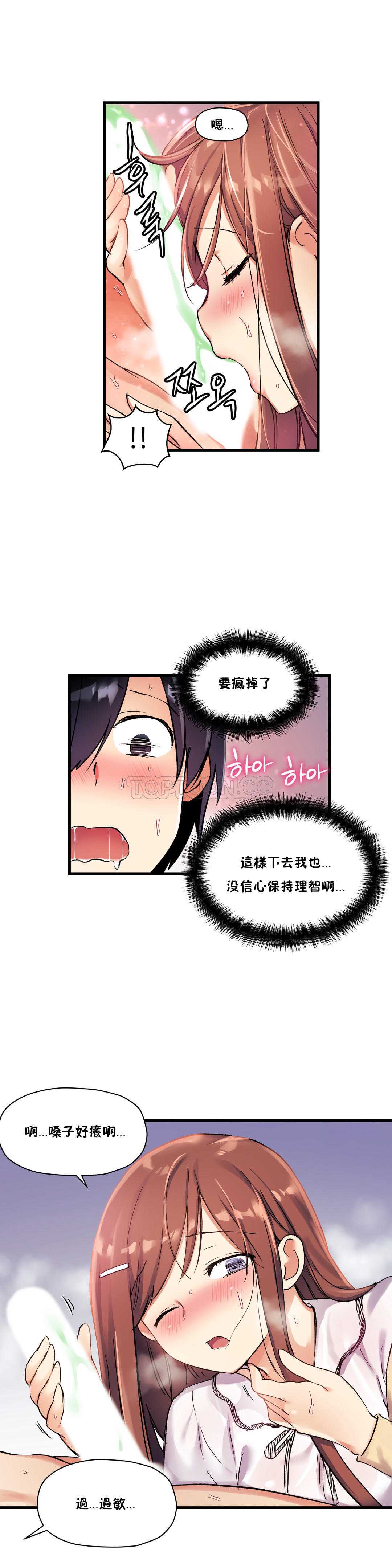 初恋豚鼠