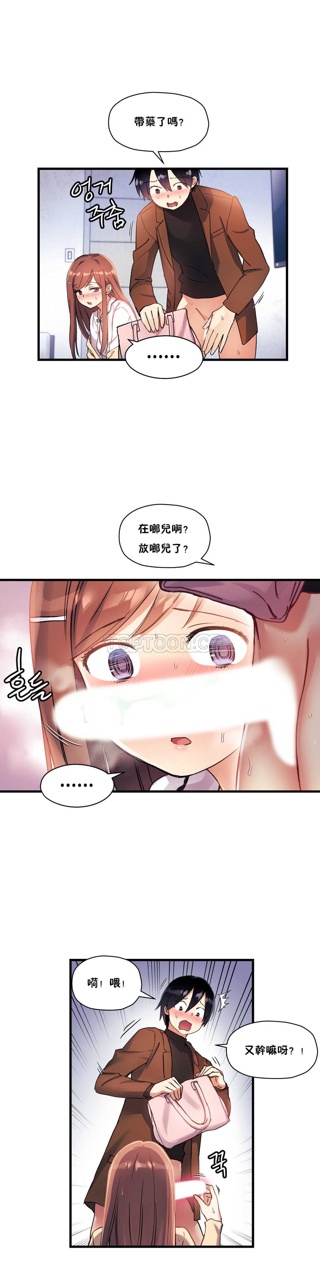 初恋豚鼠